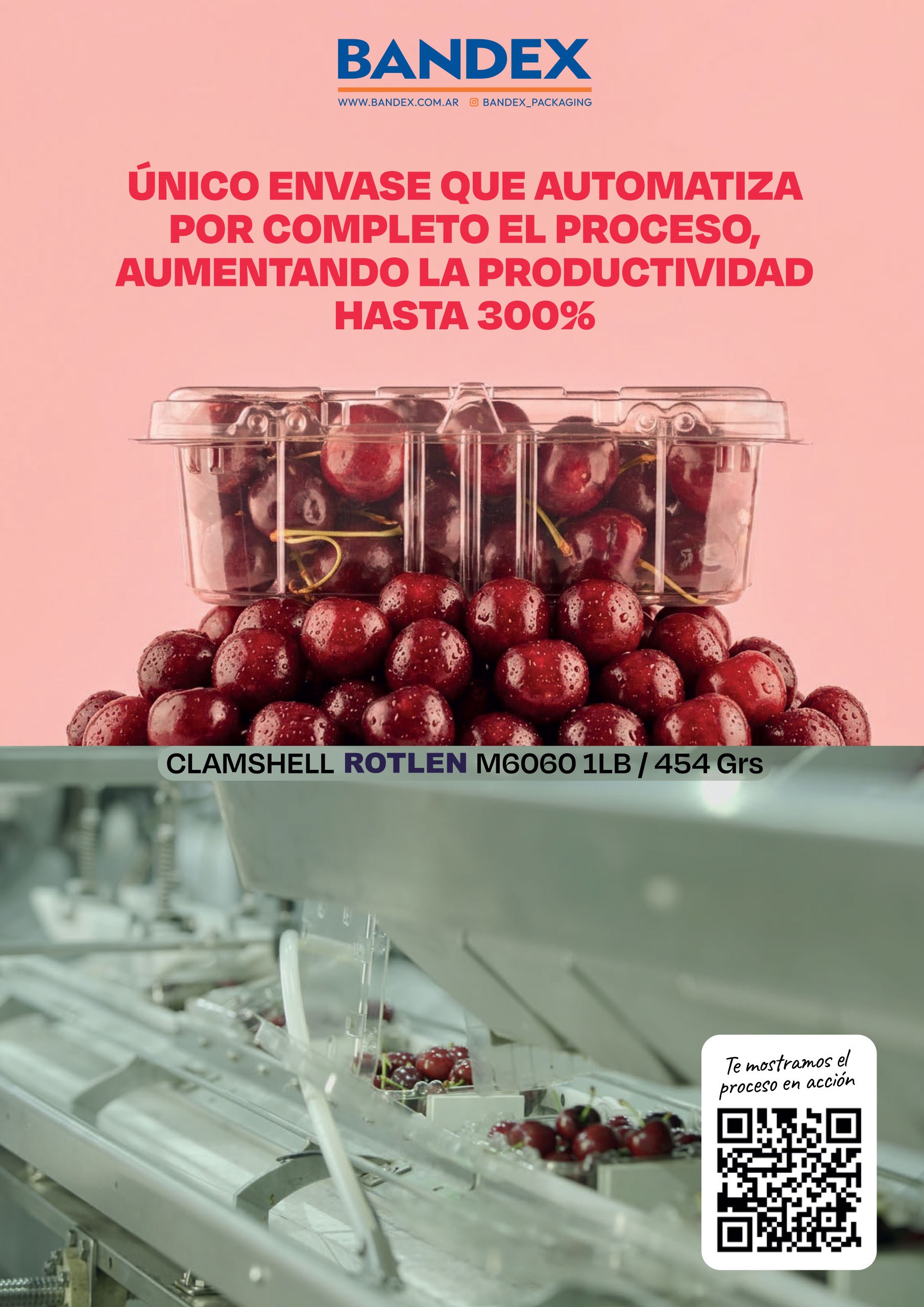folleto bandex cerezas